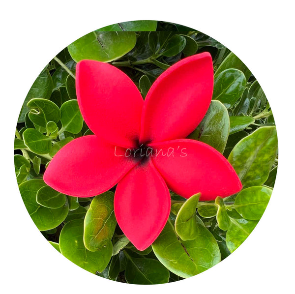 Plumeria small  #LOR10